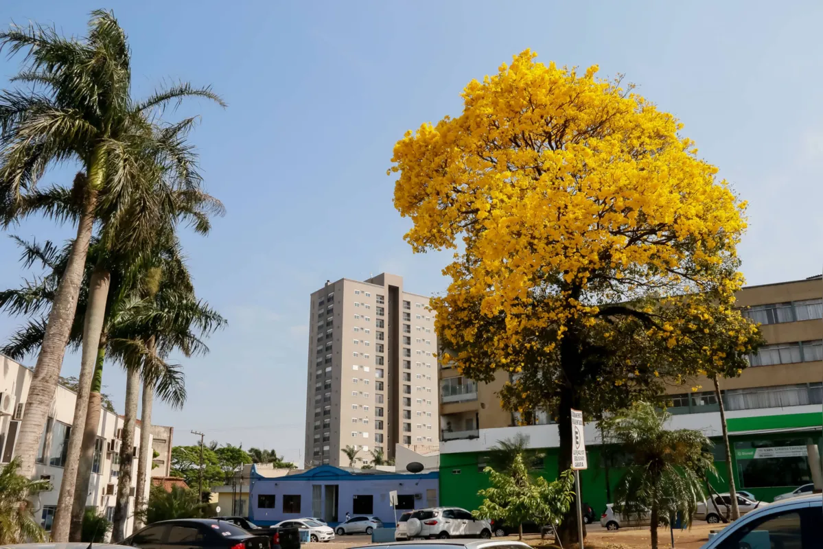 Imagem ilustrativa da imagem A cidade Fala - 16-09-2020