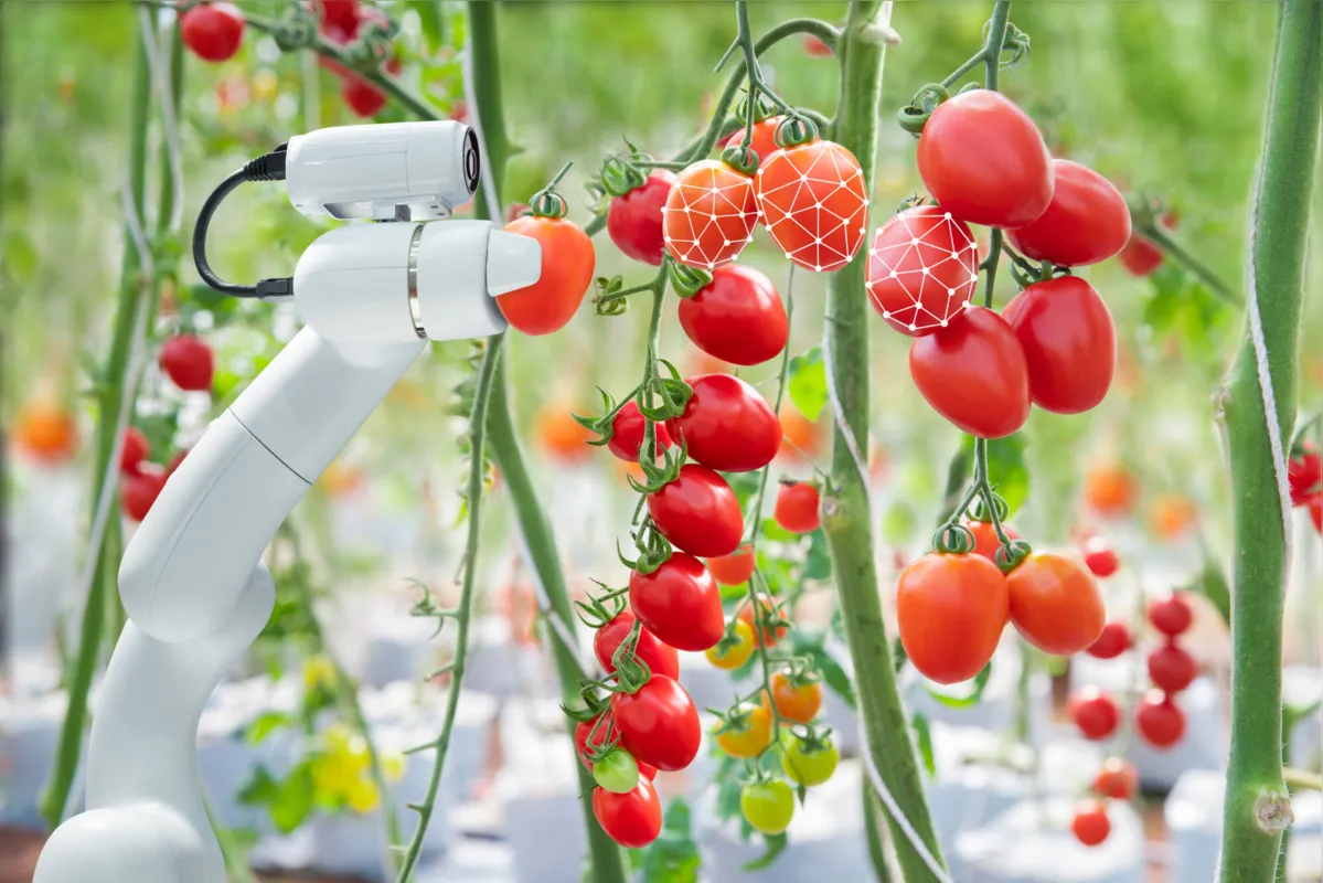 Imagem ilustrativa da imagem Agricultura digital já é realidade no Paraná