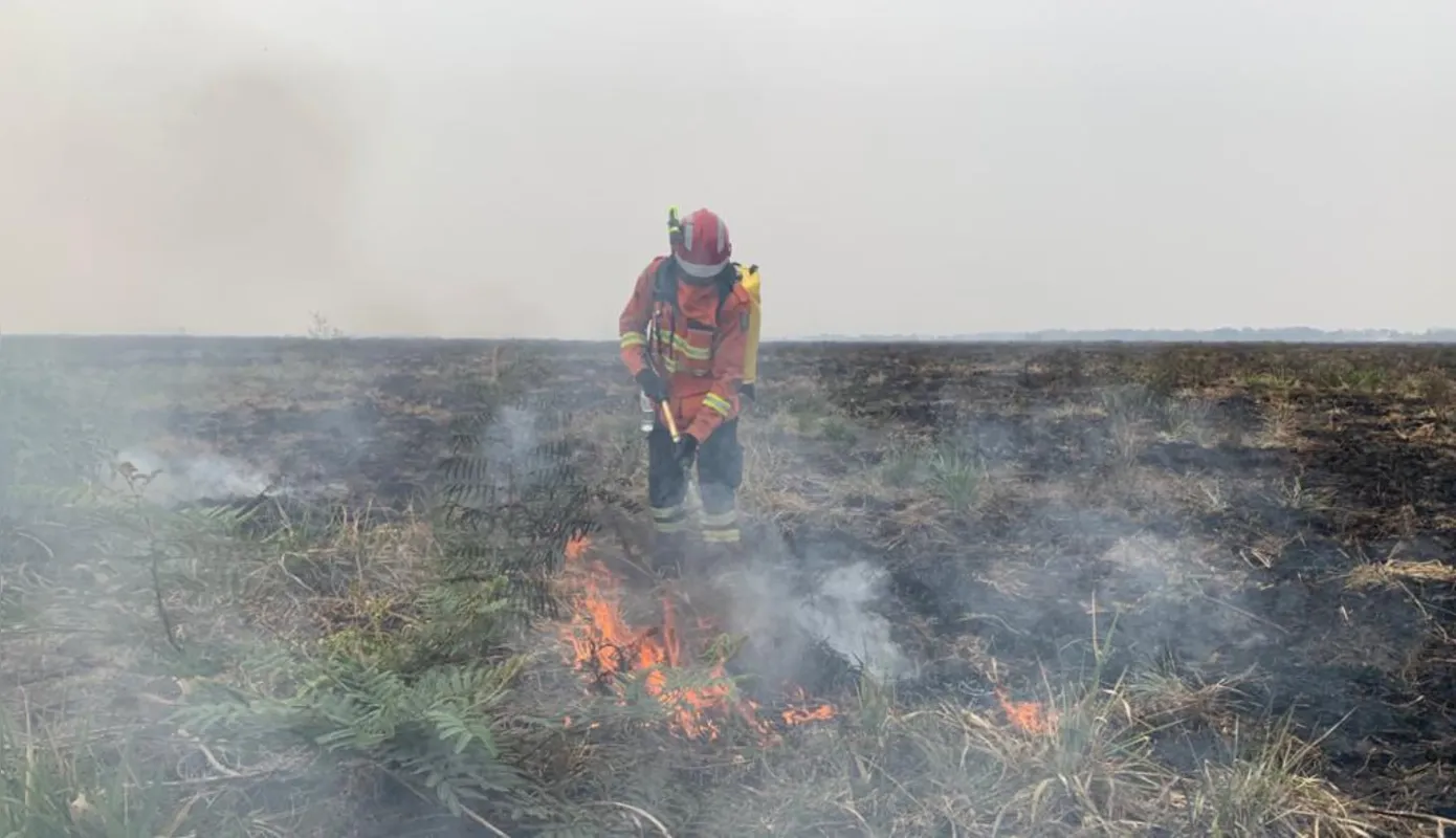 Bombeiros militares do Mato Grosso do Sul e Paraná combatem o fogo em duas frentes no Pantanal de Corumbá. 