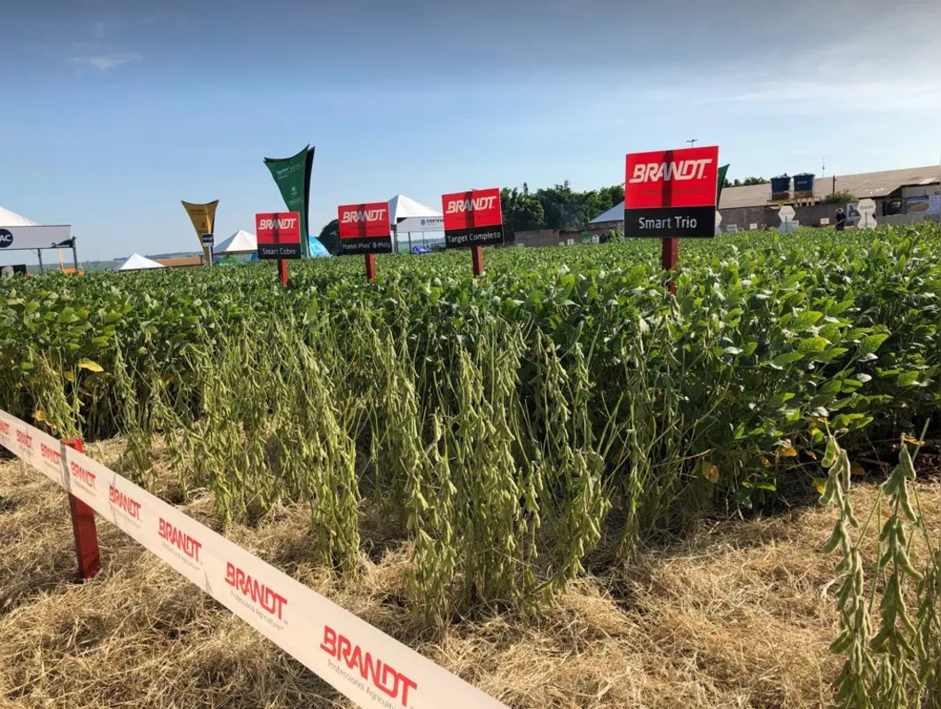 Imagem ilustrativa da imagem Brandt anuncia interesse em novos investimentos em Londrina