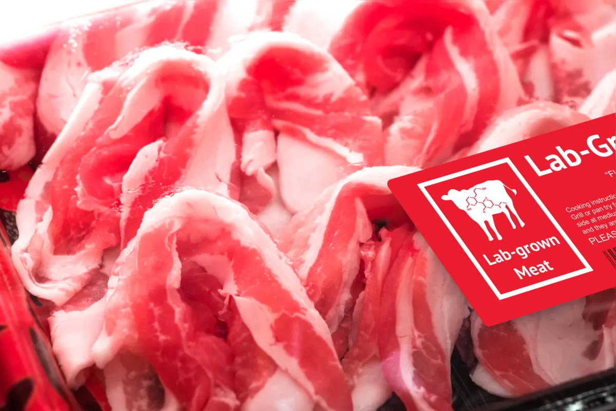 Bife artificial