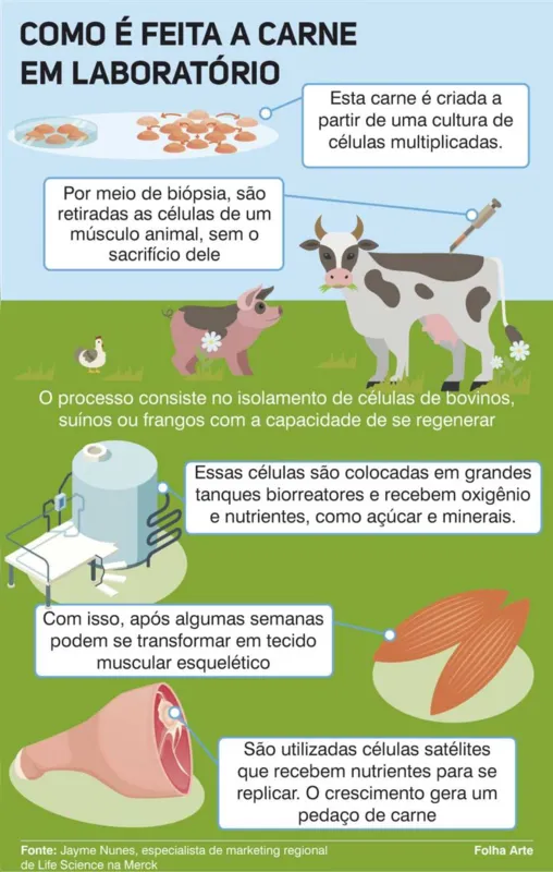 Imagem ilustrativa da imagem Carne de laboratório pode chegar às prateleiras do mercado já em 2021