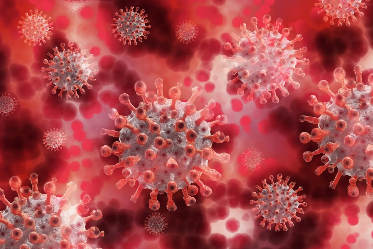 Imagem ilustrativa da imagem Cientistas de Hong Kong relatam caso de reinfecção de coronavírus por linhagens diferentes