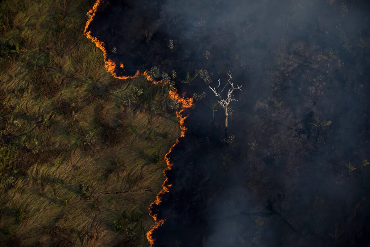 Imagem ilustrativa da imagem Em 14 dias do mês, Amazônia já tem mais queimadas que em todo setembro do ano passado