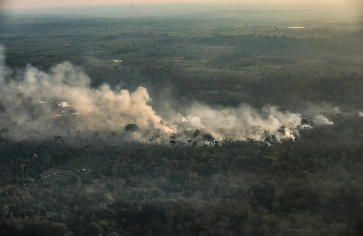 Imagem ilustrativa da imagem Em 18 anos, Amazônia perdeu área maior que estado de São Paulo, aponta IBGE