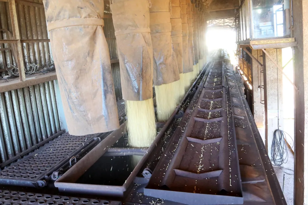 Trem é abastecido com grãos:  apesar de o país ter em tese uma malha ferroviária de 29 mil quilômetros, apenas 10 mil quilômetros estão em uso, insuficiente para a demanda