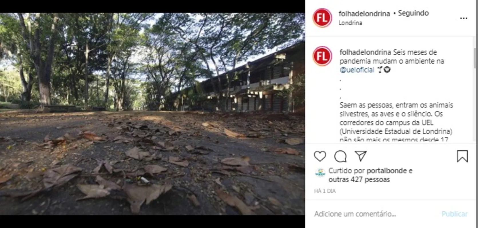 Imagem ilustrativa da imagem FOLHA NAS REDES| UEL