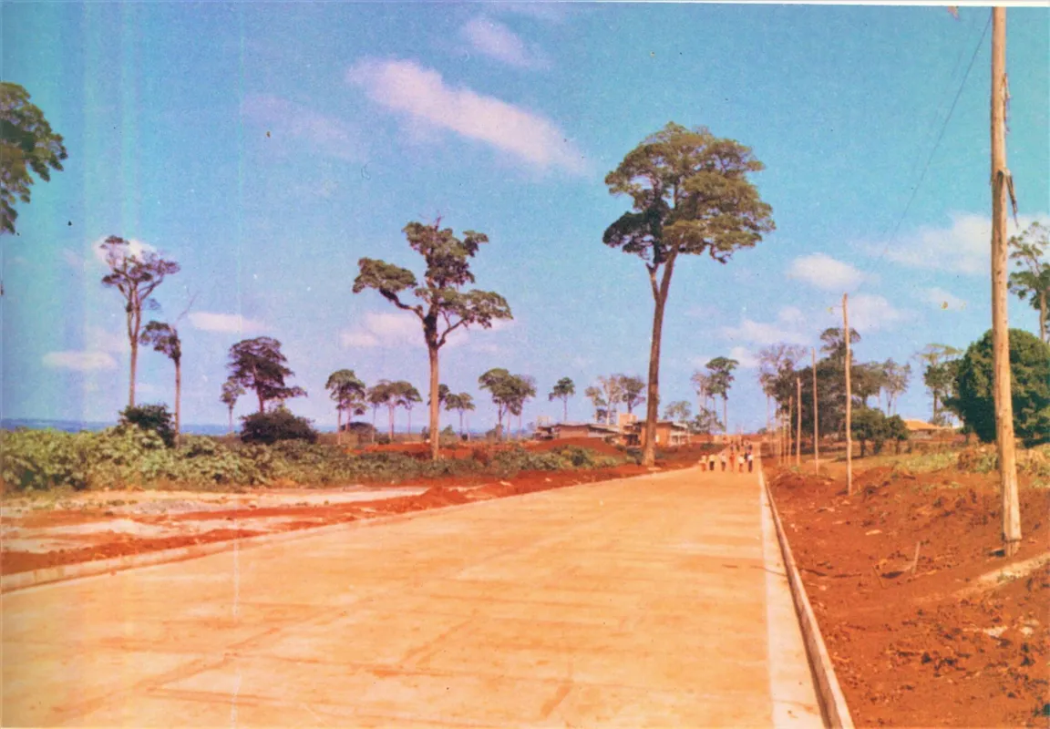 Imagem ilustrativa da imagem FOTO| Calçadão da UEL nos anos 70