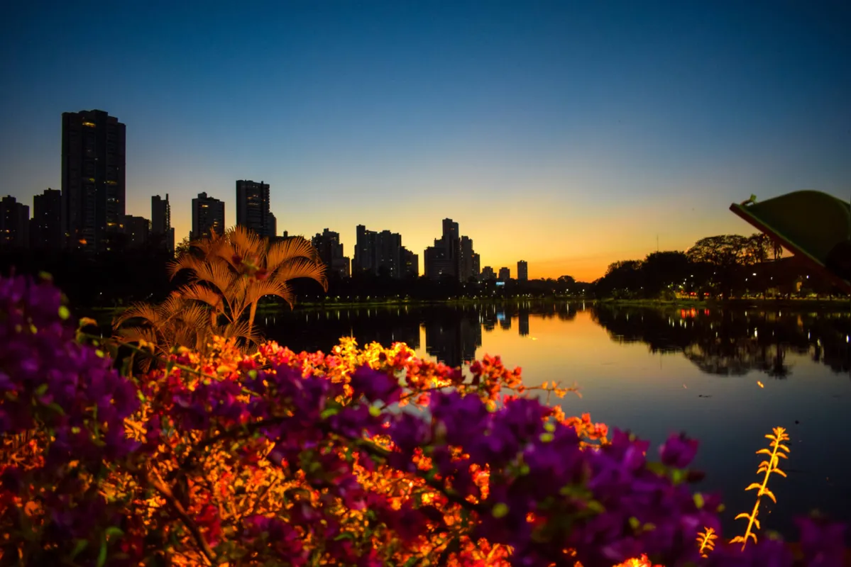 Imagem ilustrativa da imagem Flores no Lago