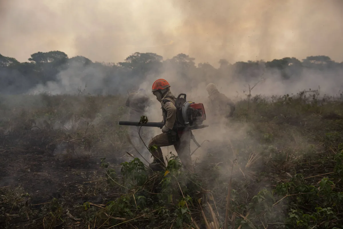 Bombeiros combatem o fogo no Pantanal:  “O vento é o maior vilão”