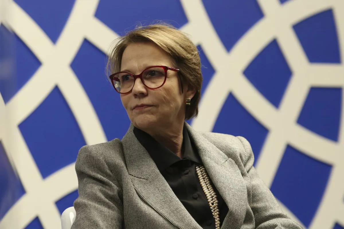 Imagem ilustrativa da imagem Ministra diz não acreditar que detecção de Covid-19 em embalagem de frango afetará exportação brasileira