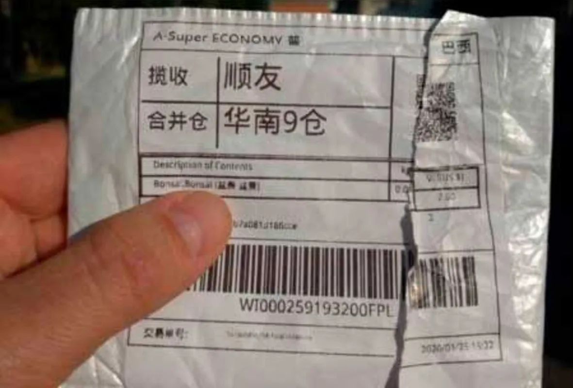 Imagem ilustrativa da imagem O que é 'brushing'? Técnica de e-commerce por trás de envios misteriosos de sementes da China