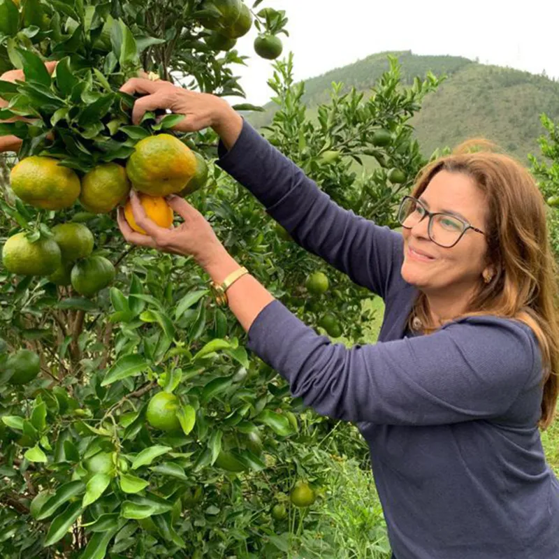 A empresária Rose Bezecry encontrou uma maneira de aproveitar o raleio das árvores para produção do óleo essencial 
