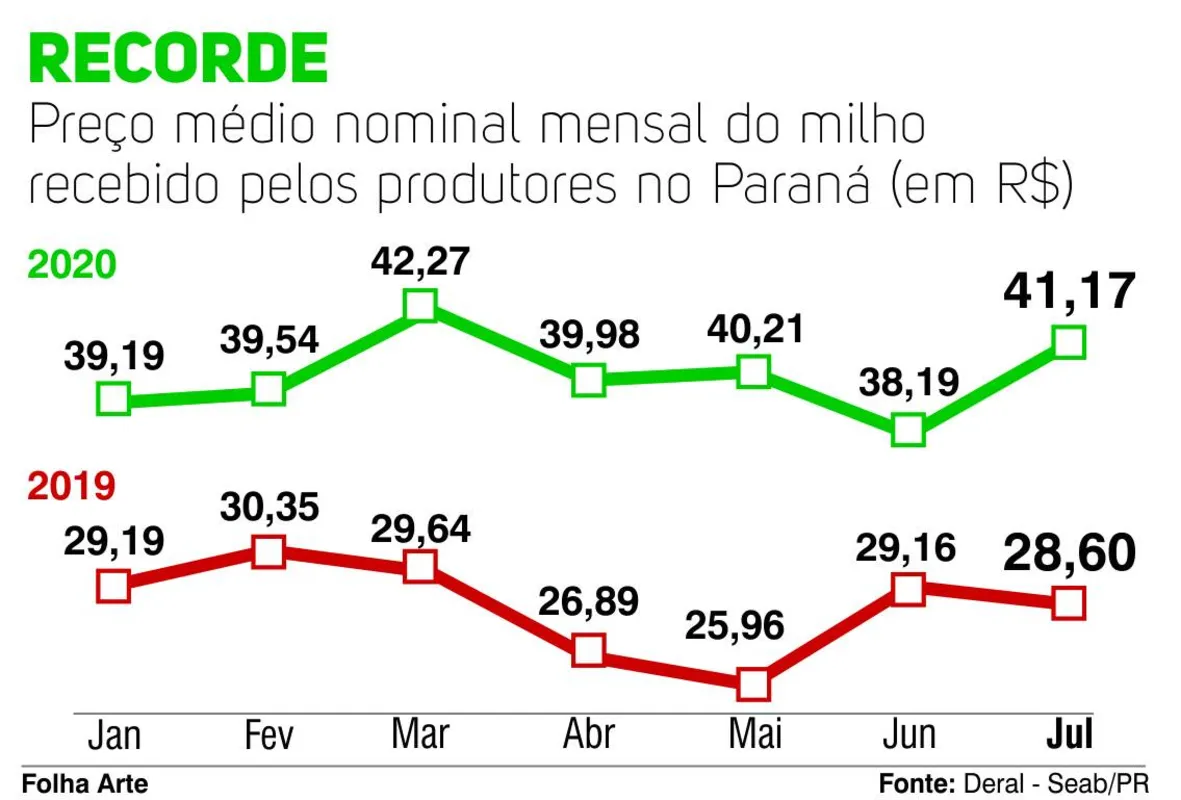 Imagem ilustrativa da imagem Preço do milho alcança níveis históricos no Paraná