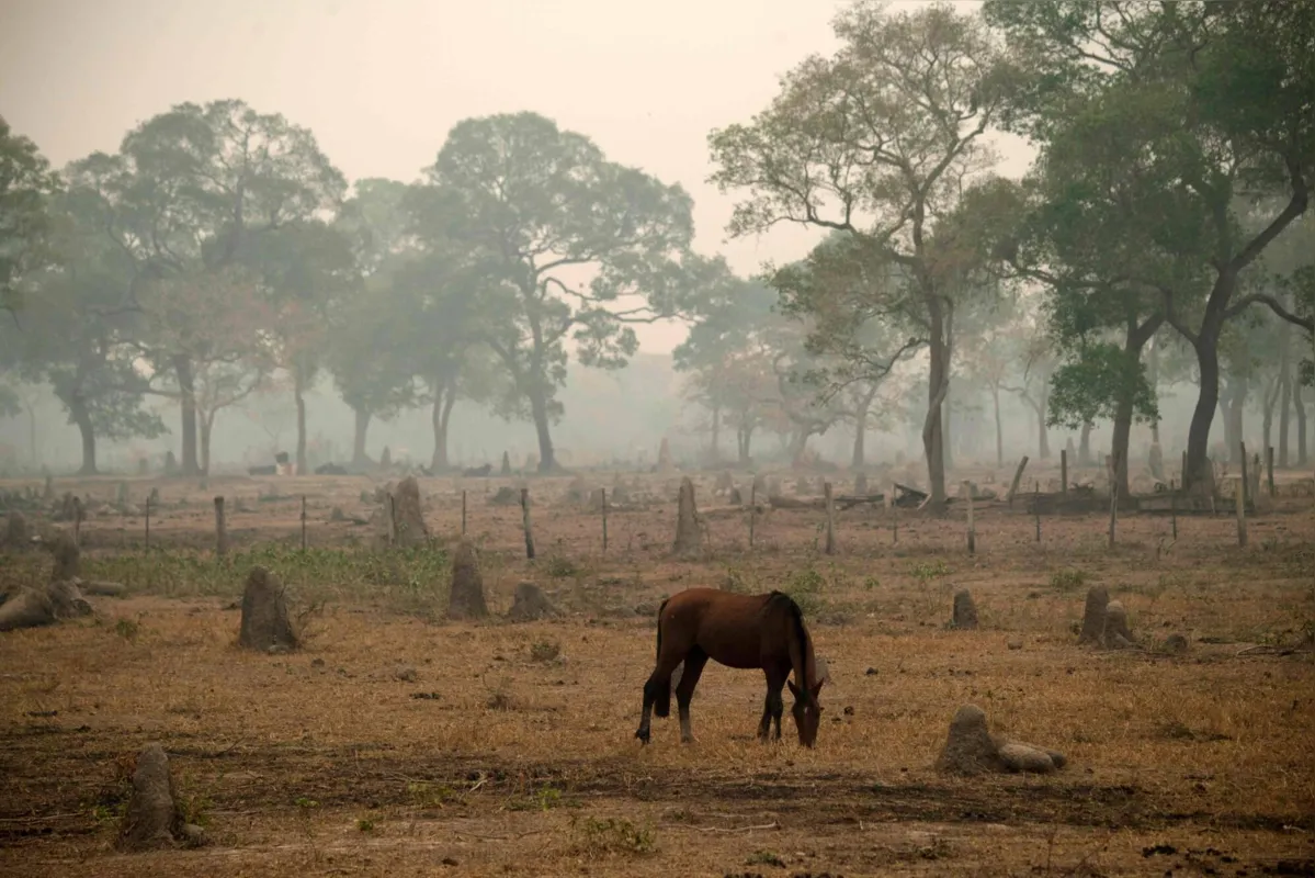 Transpantaneira, Mato Grosso