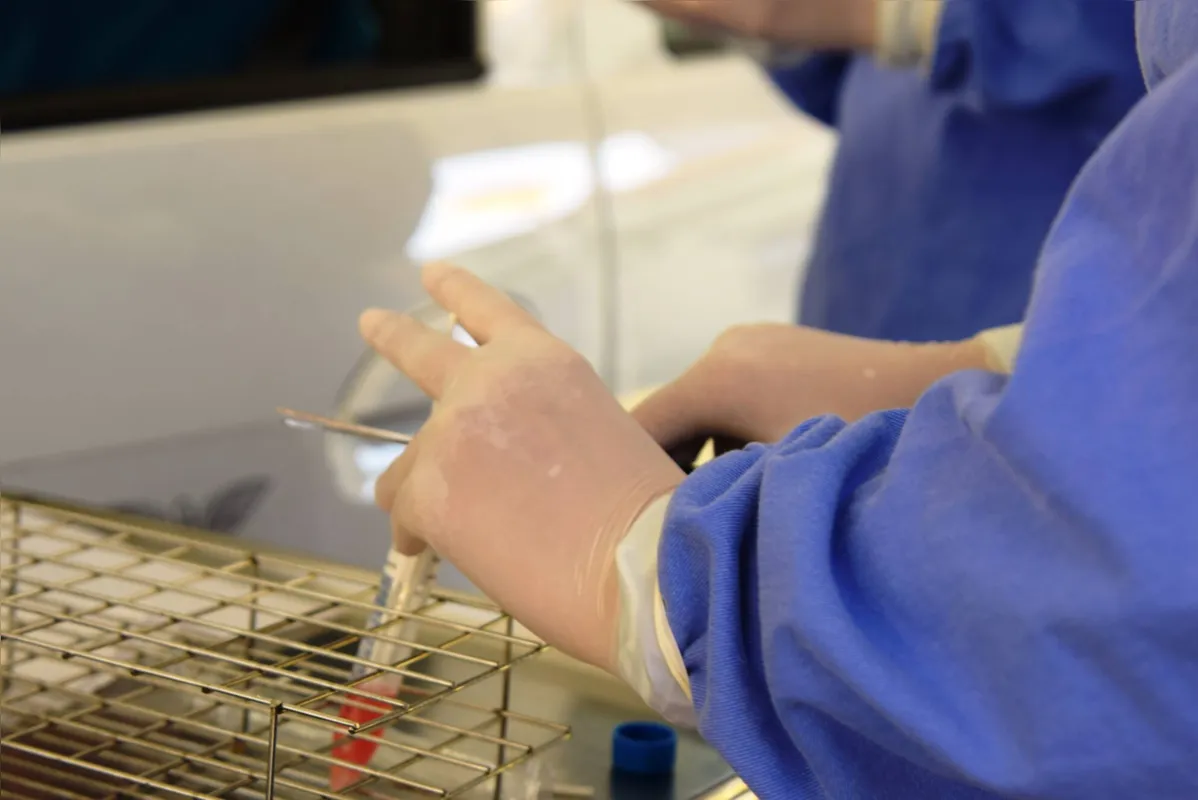 Para a configuração de um surto é preciso o registro de pelo menos três confirmações, por teste do RT-PCR, no mesmo ambiente, em um período de 14 dias entre os casos.