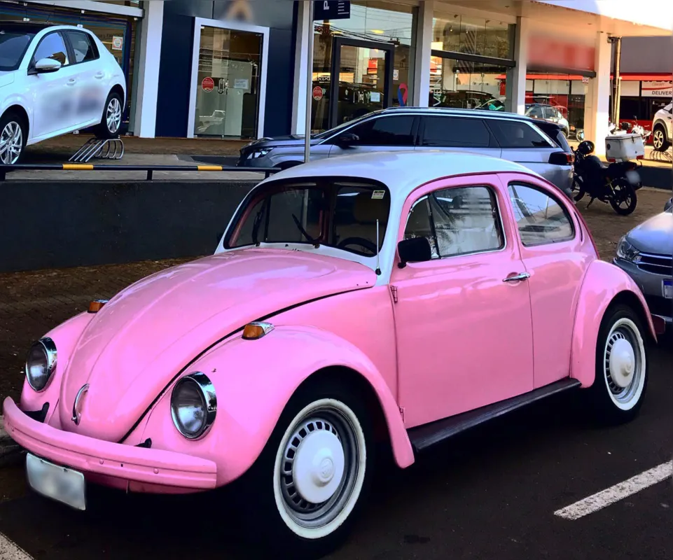 Imagem ilustrativa da imagem # A CIDADE FALA - Cor-de-rosa