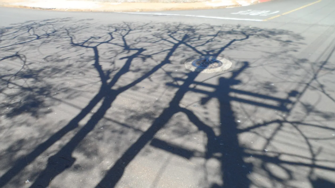 Imagem ilustrativa da imagem # A CIDADE FALA - Sombras e solidez