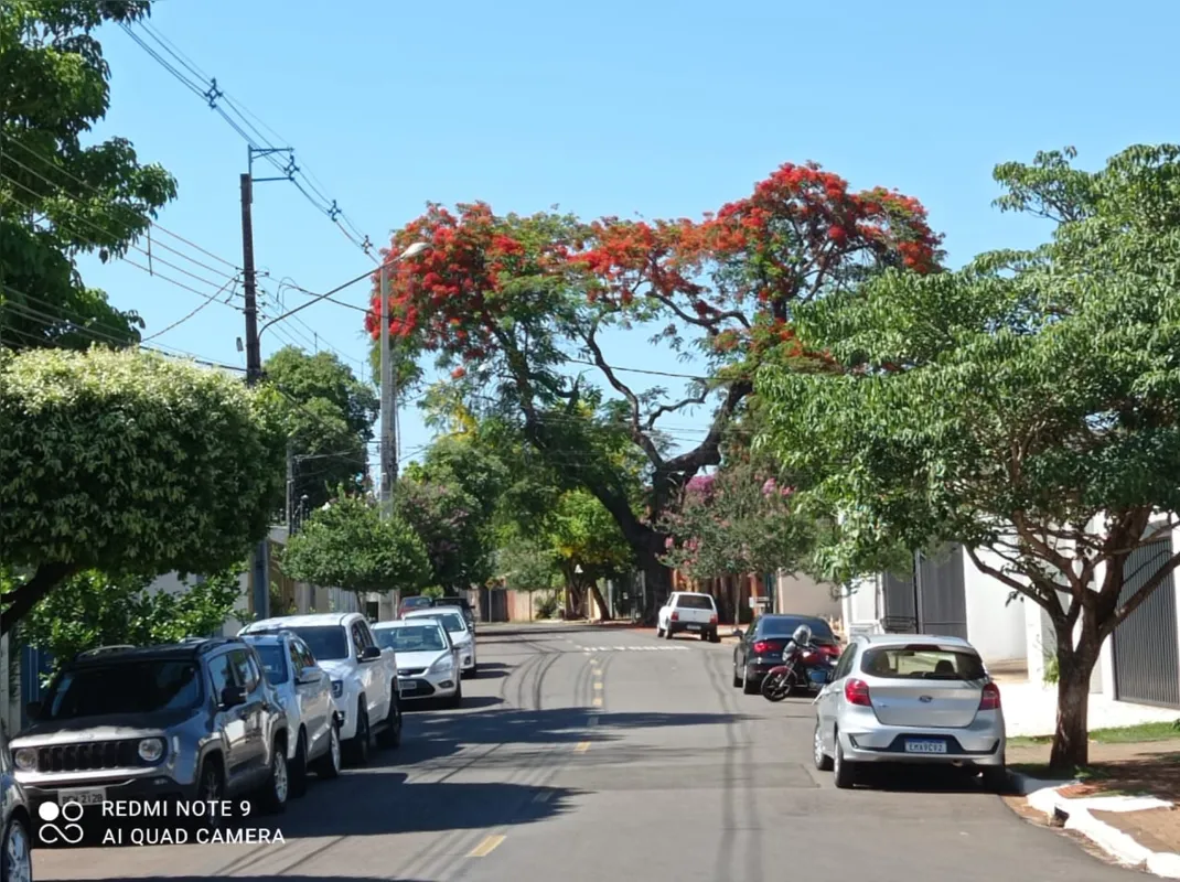 Imagem ilustrativa da imagem #A CIDADE FALA - Primavera