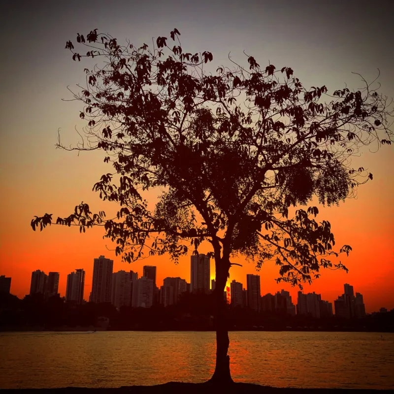 Imagem ilustrativa da imagem A CIDADE FALA: Calor de Rachar