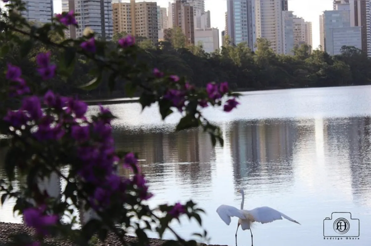 Imagem ilustrativa da imagem A cidade fala| Momento