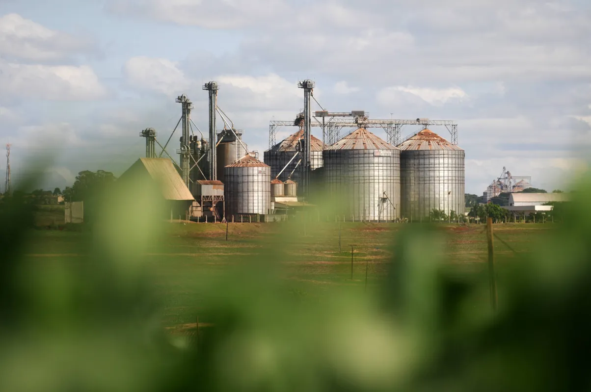 A safra de grãos, o câmbio elevado e a alta dos preços e do consumo de alimentos fizeram da agropecuária uma alavanca para sustentação da economia do Paraná
