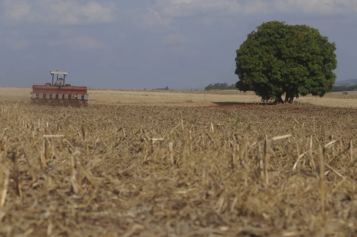 Plantio da soja: falta de chuva atrasou o processo 