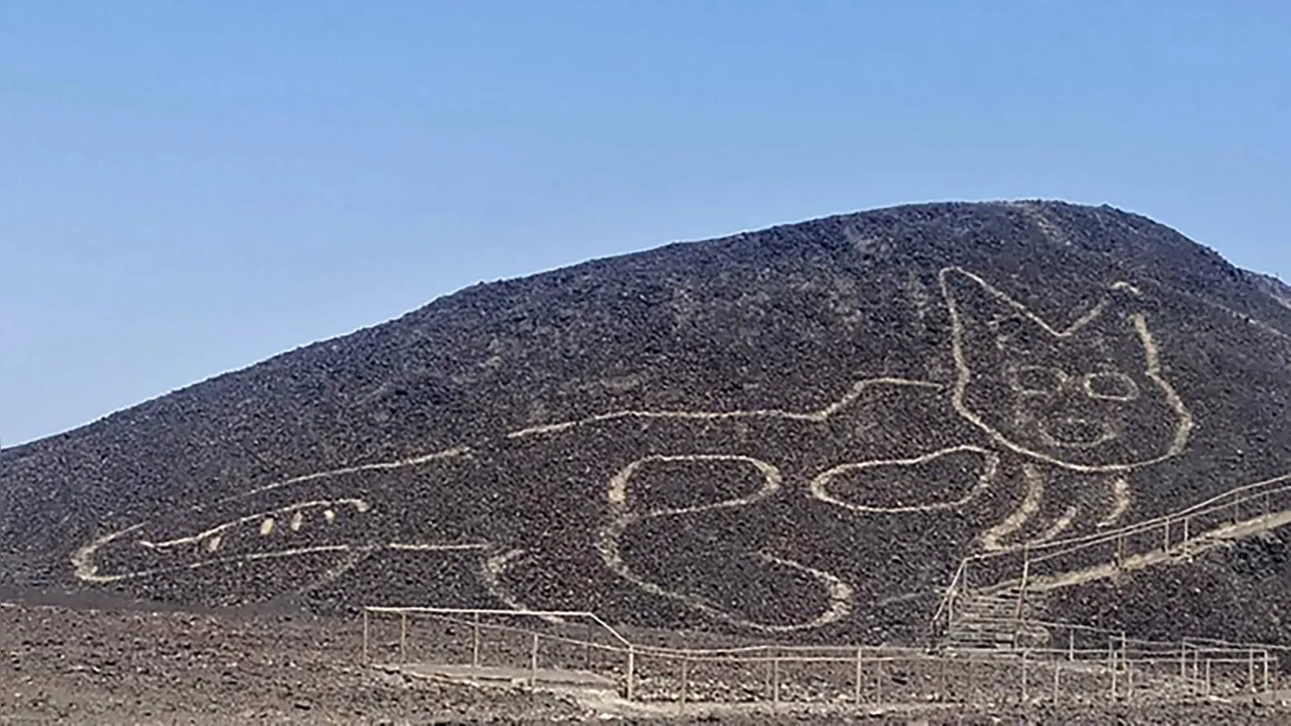 Imagem ilustrativa da imagem Arqueólogos descobrem 'gravura gigante' de gato no Peru