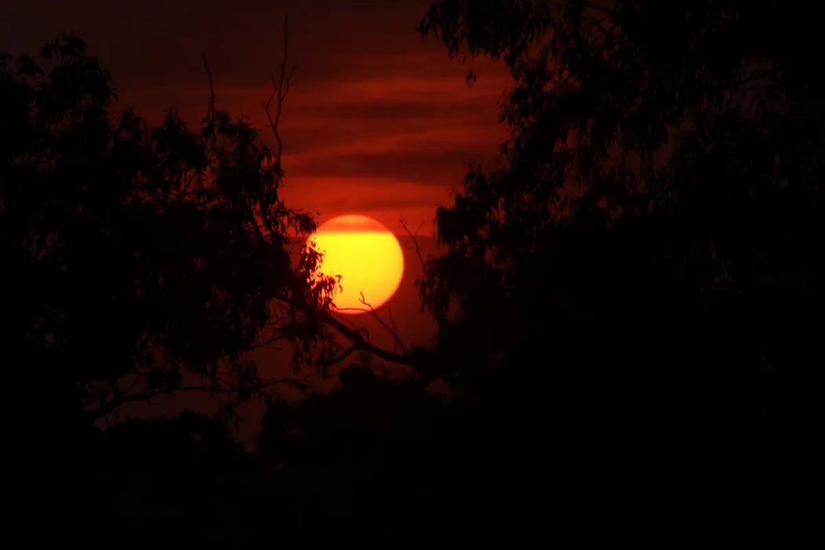 Imagem ilustrativa da imagem #CIDADE FALA - Ensolarado.