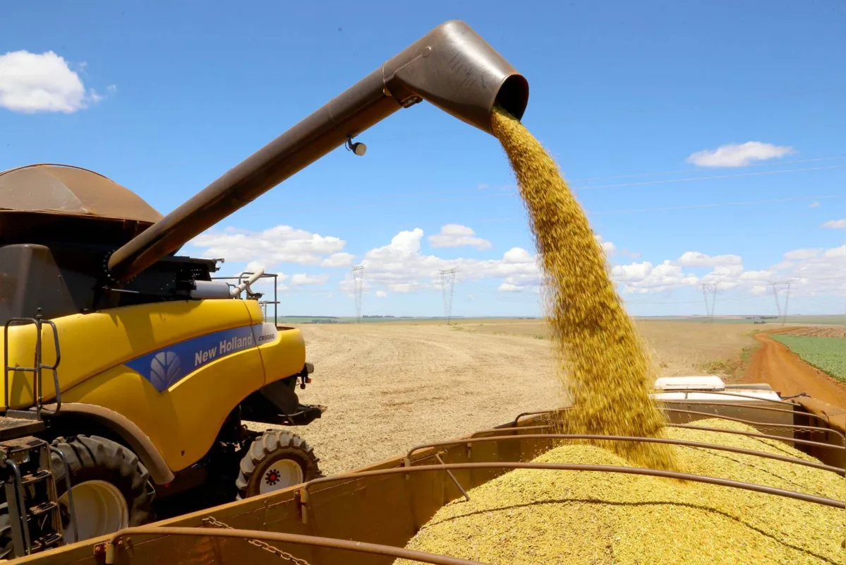 O agronegócio participa com 72% a 77% do esforço exportador do Paraná