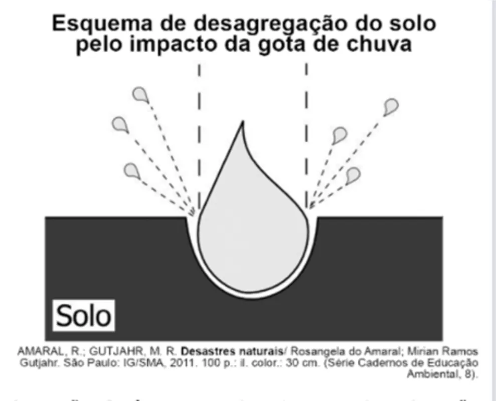 Imagem ilustrativa da imagem FOLHA ENEM | Caderno 2 - Ciências Humanas
