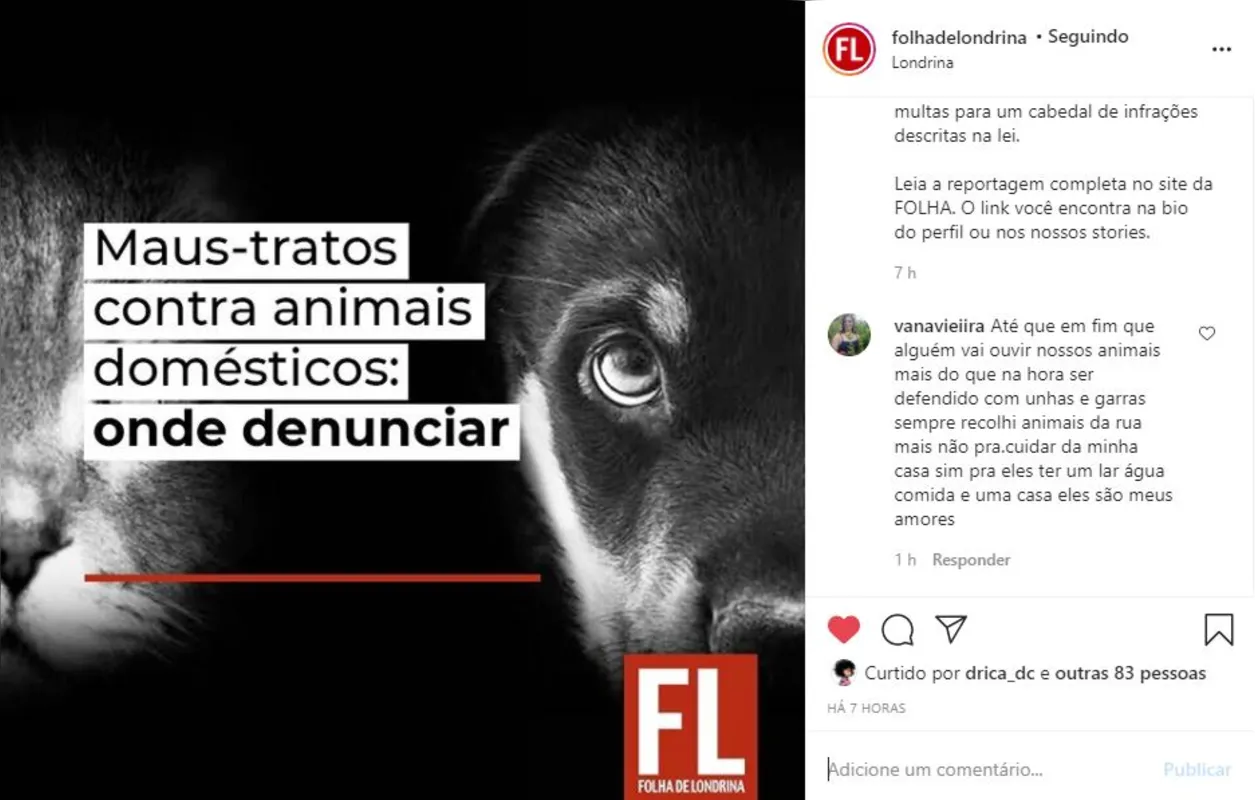 Imagem ilustrativa da imagem FOLHA NAS REDES| Proteção aos animais