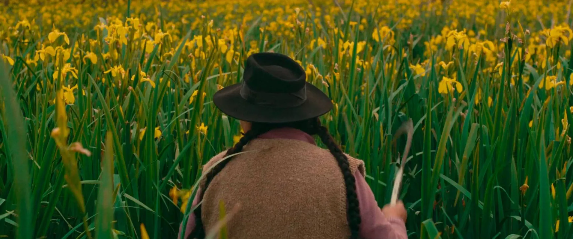 Filme: La Vendedora de Lírios
