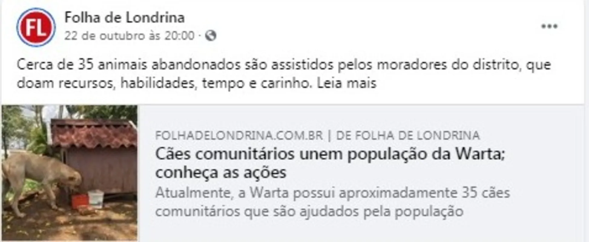 Imagem ilustrativa da imagem Folha nas Redes| Cães comunitários