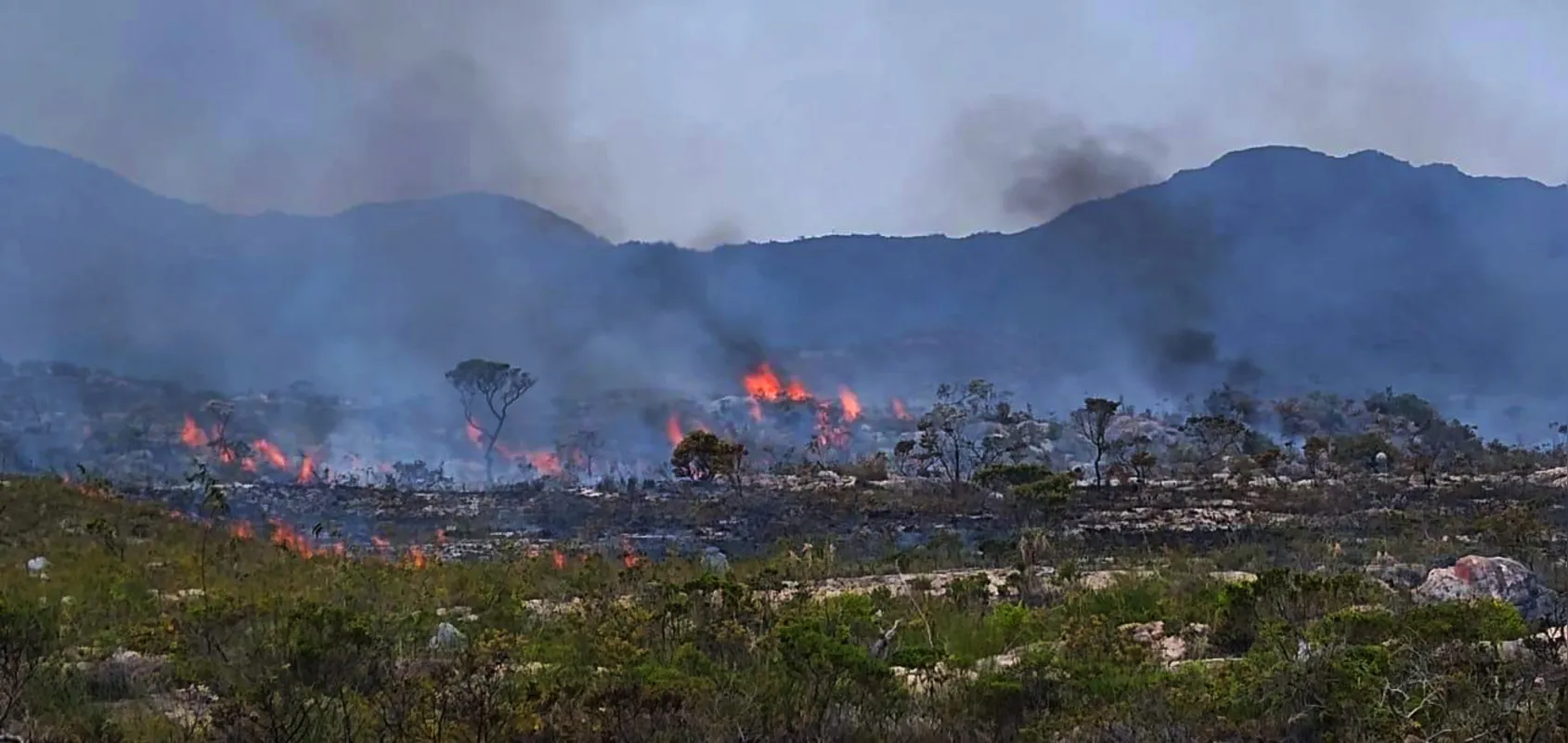 Segundo o Corpo de Bombeiros, áreas atingidas na Chapada Diamantina não queimavam há 20 anos