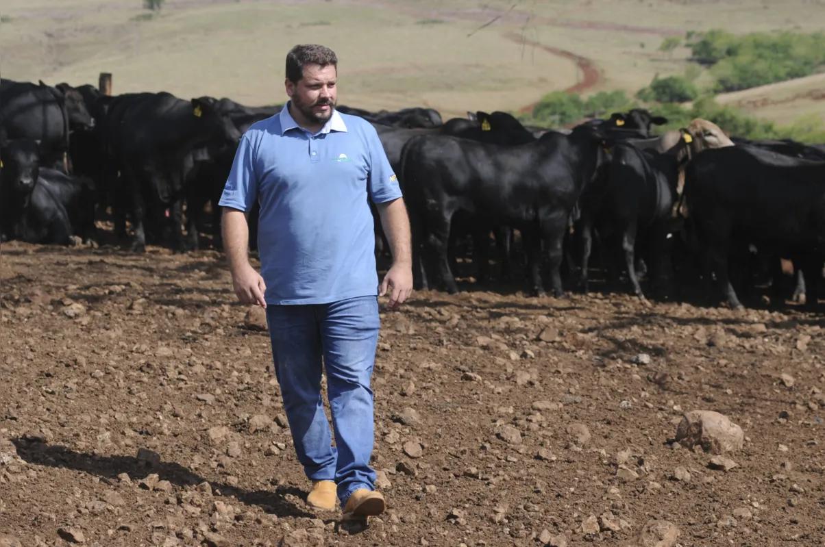 “Hoje a brangus é a raça que mais cresce no Brasil", afirma o administrador Marcos Sereniski