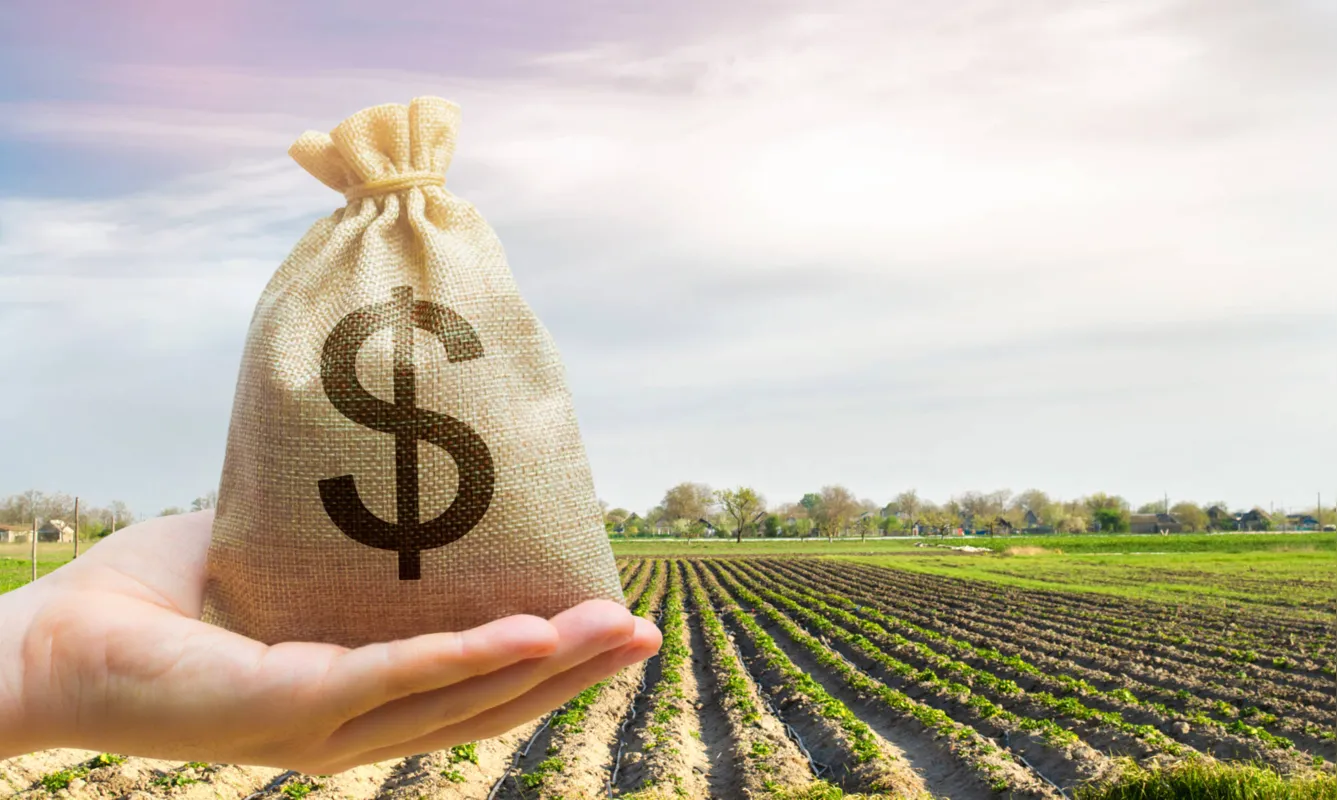 Imagem ilustrativa da imagem Novo fundo vai destinar US$ 68 mi para agricultura sustentável no Brasil