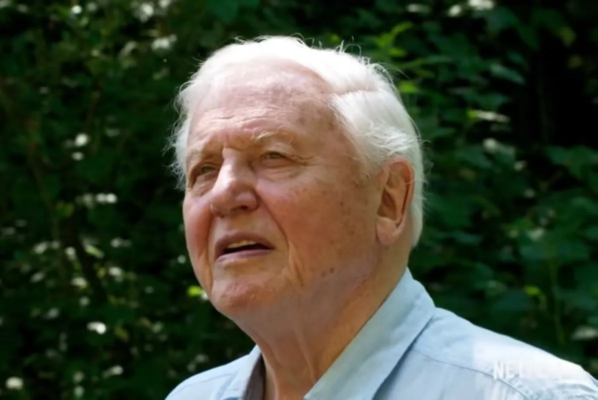 David Attenborough : "Todos os animais modificam seu ambiente em maior ou menor grau. Mas nenhuma espécie jamais fez o que estamos fazendo"