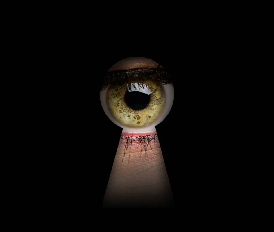 Imagem ilustrativa da imagem O que leva ao exibicionismo e voyeurismo nas redes sociais?