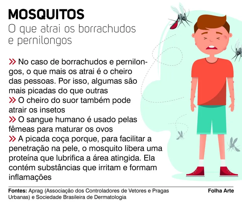 Imagem ilustrativa da imagem Pernilongos retornam com tudo no calor