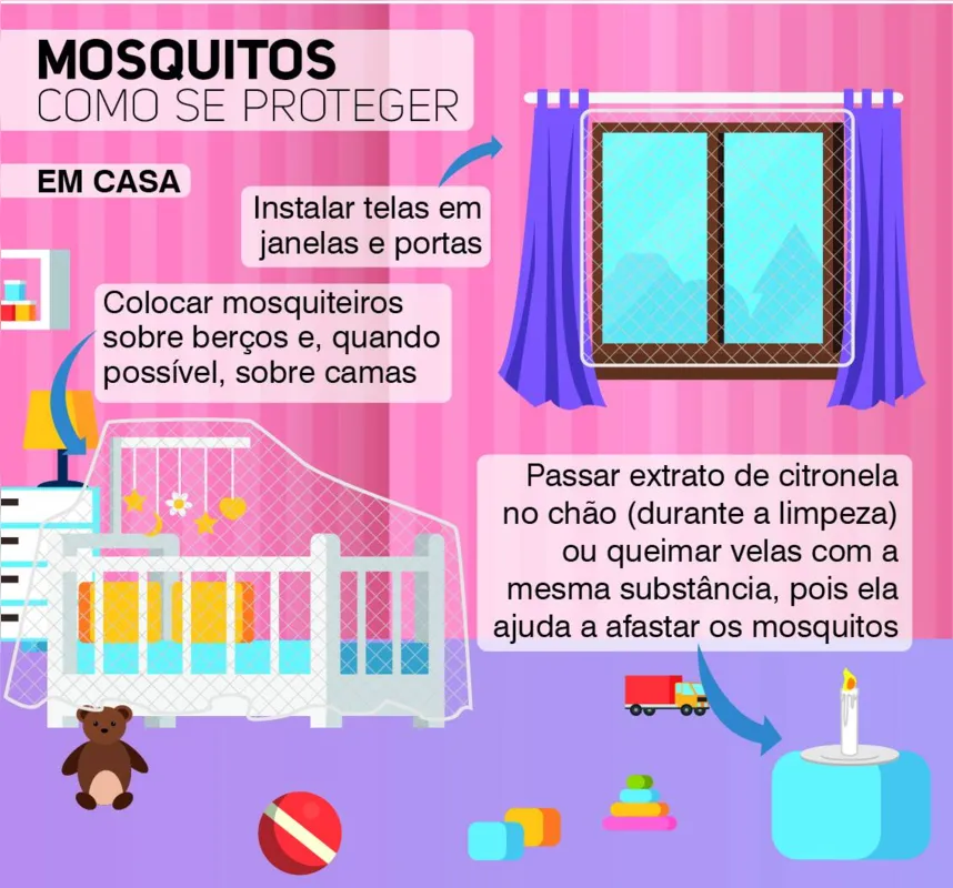 Imagem ilustrativa da imagem Pernilongos retornam com tudo no calor