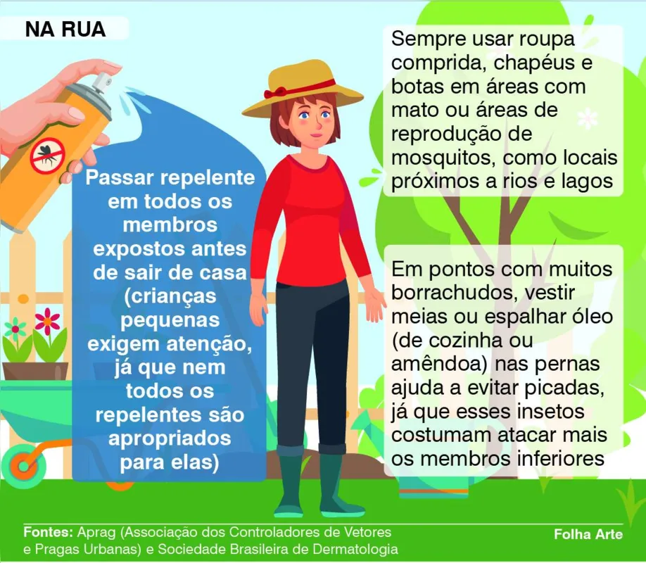Imagem ilustrativa da imagem Pernilongos retornam com tudo no calor