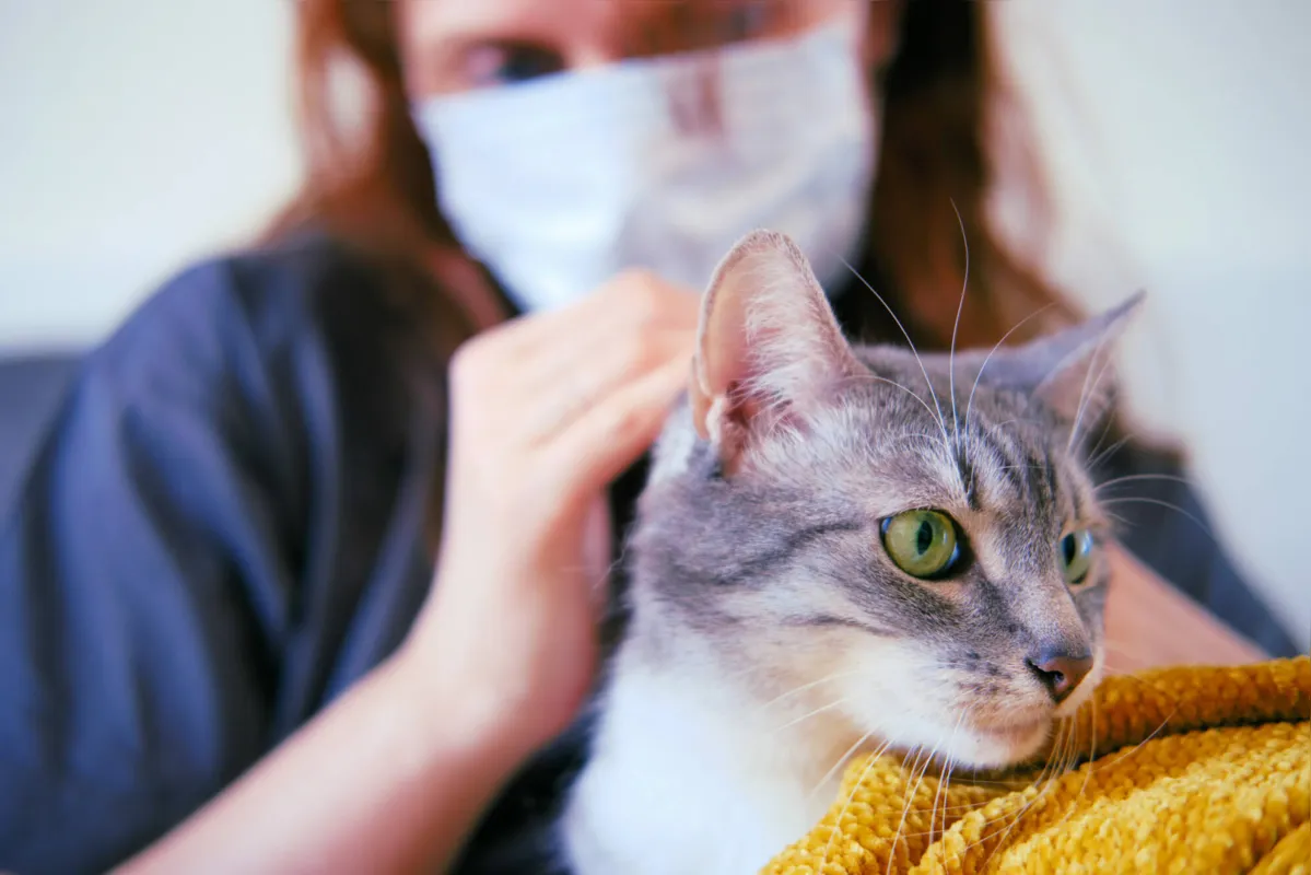 Imagem ilustrativa da imagem Pesquisa da UEL coleta material em cães e gatos para estudar Sars-Cov-2