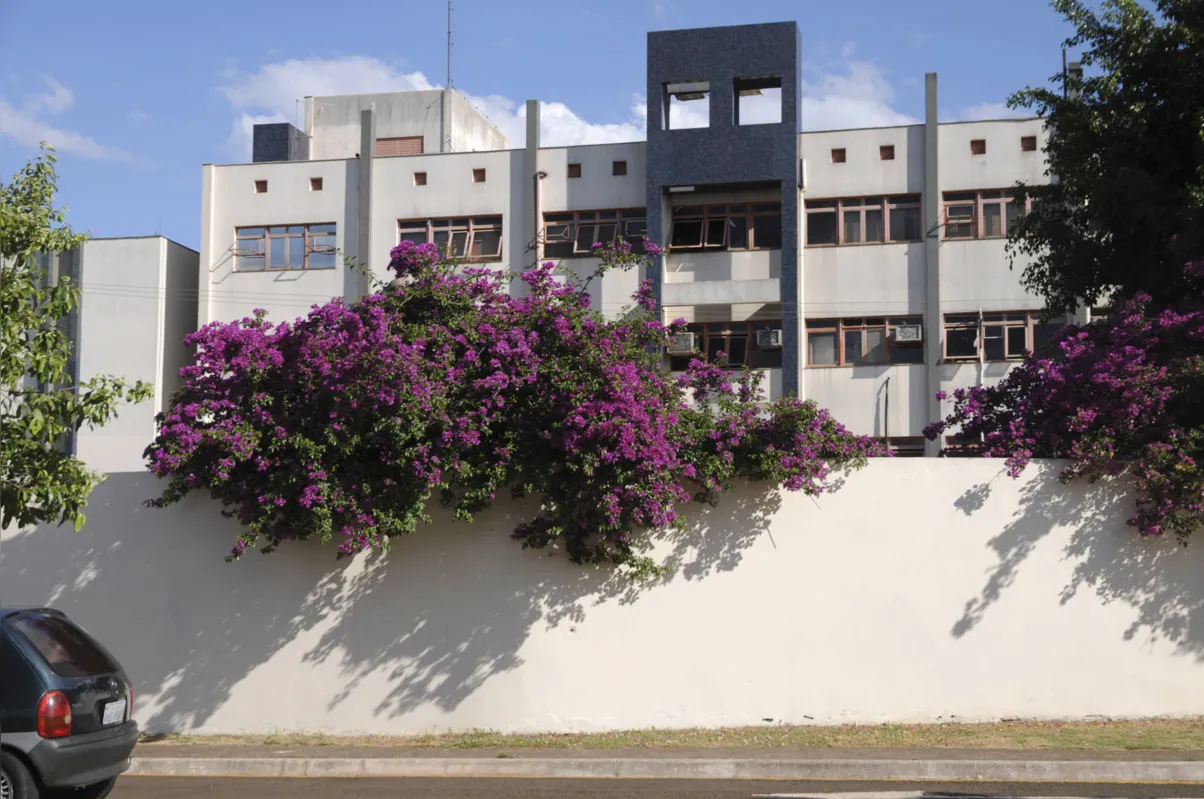 Imagem ilustrativa da imagem Primavera em Londrina: vermelho na terra e nas flores