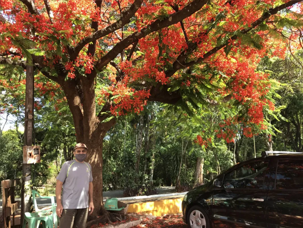 Imagem ilustrativa da imagem Primavera em Londrina: vermelho na terra e nas flores