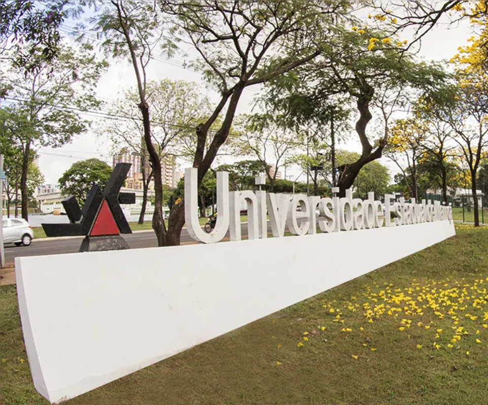 Imagem ilustrativa da imagem Professor da UEM morre vítima da Covid-19