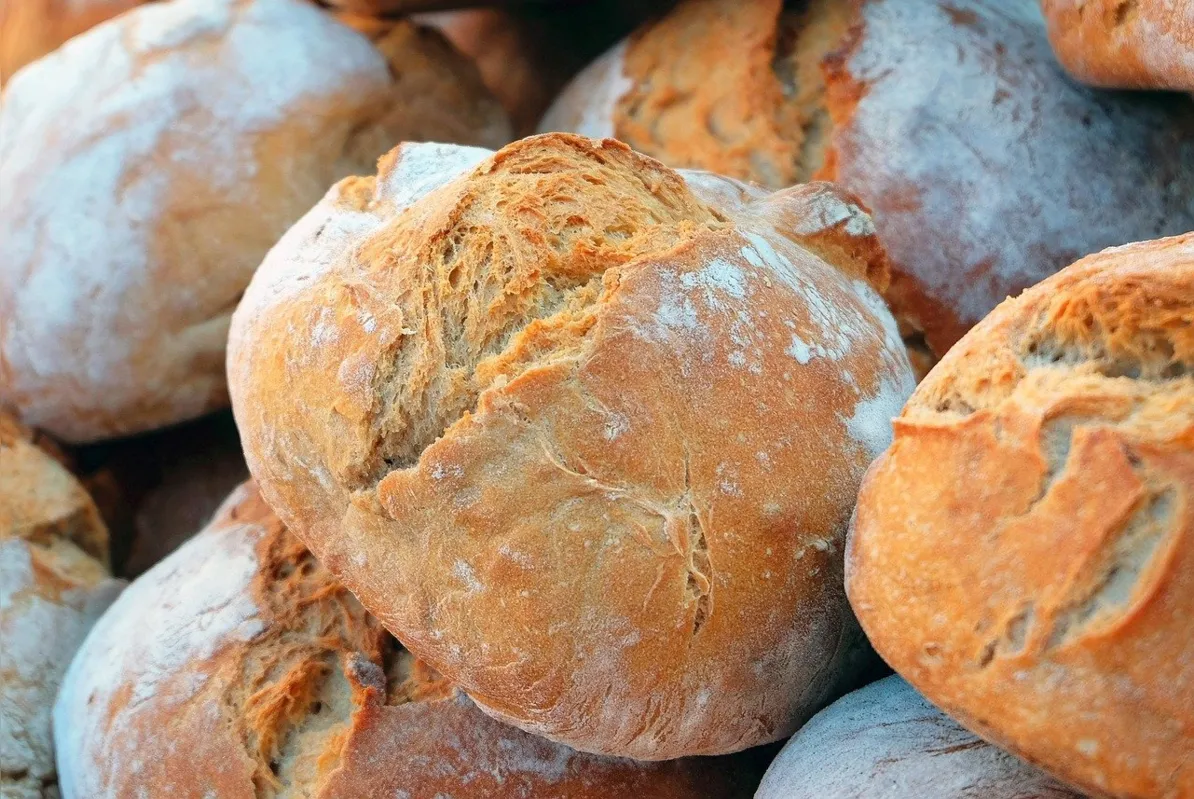 Pão: alimento é o companheiro do dia a dia
