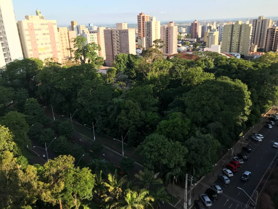 Imagem ilustrativa da imagem Revitalização do Bosque Central deve começar em janeiro