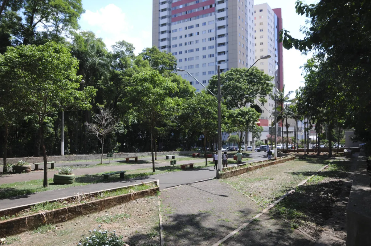 Imagem ilustrativa da imagem Revitalização do Bosque: licitação publicada prevê obra de até R$ 2,5 milhões