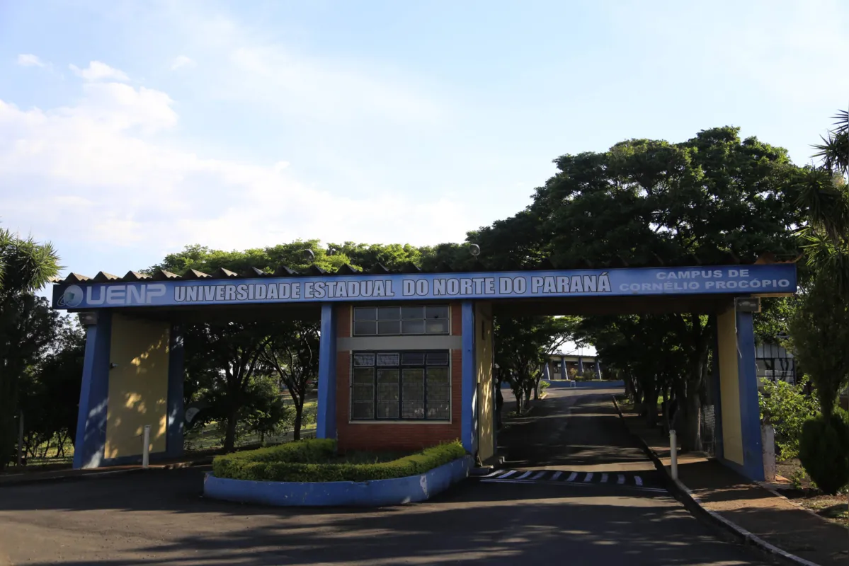 Desde o início da pandemia de coronavírus, as atividades na educação têm sido remotas